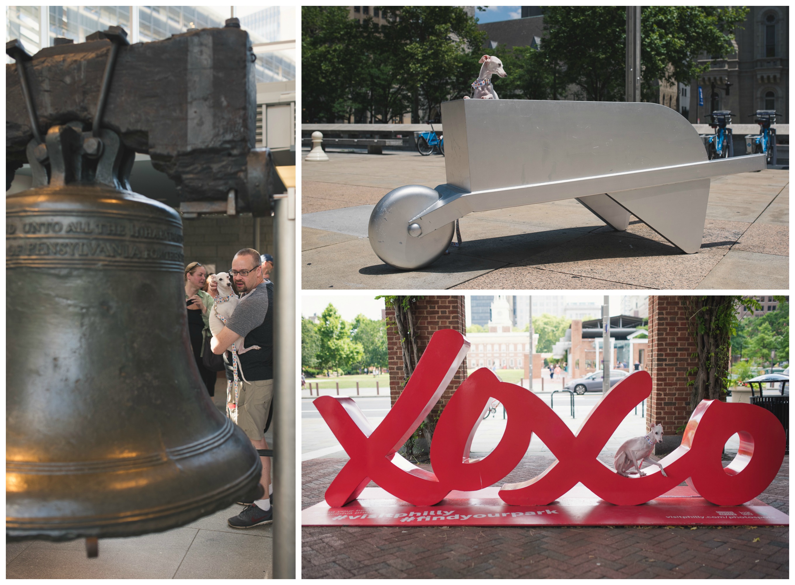 Hazen in Philly