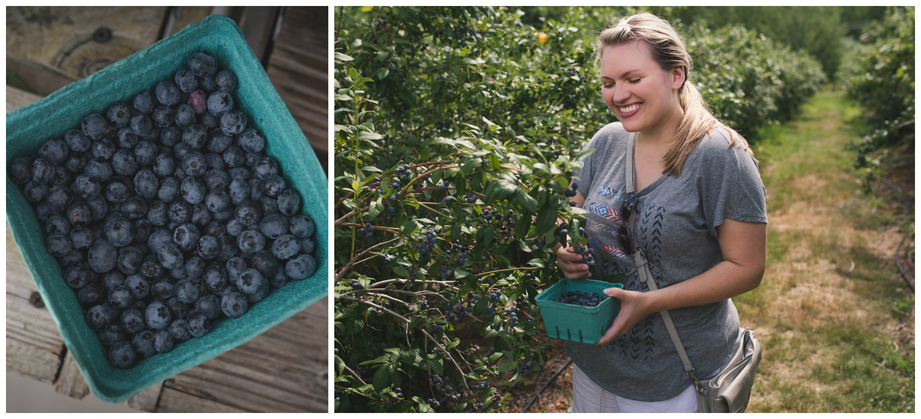 blueberries