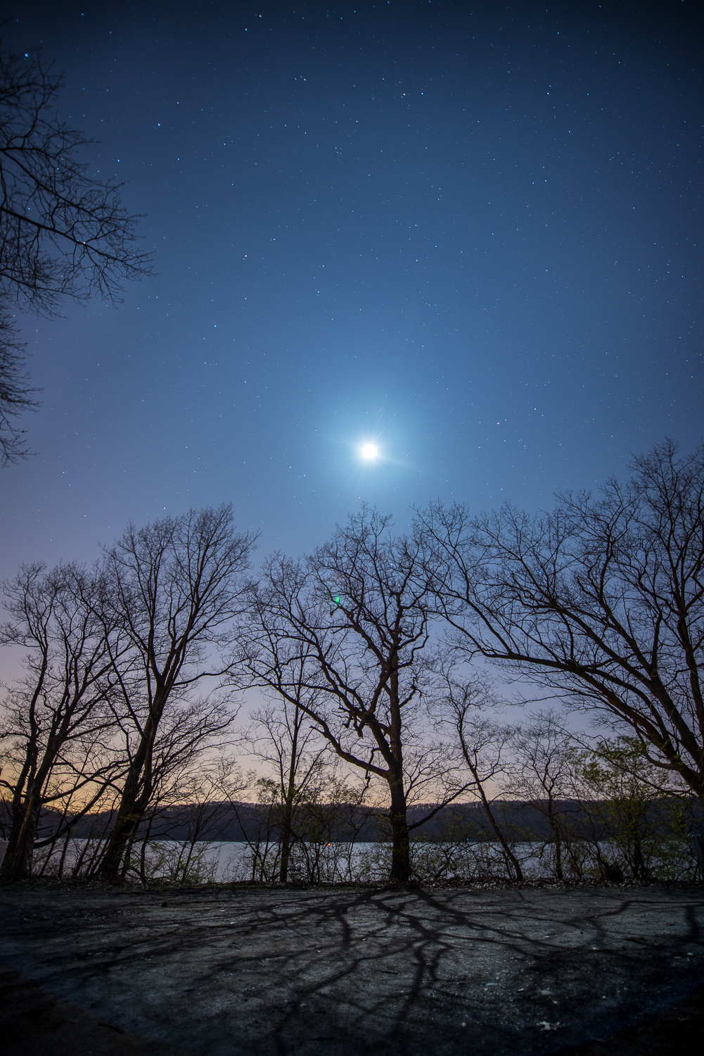 Nice enough, but can't see the stars for the moon!