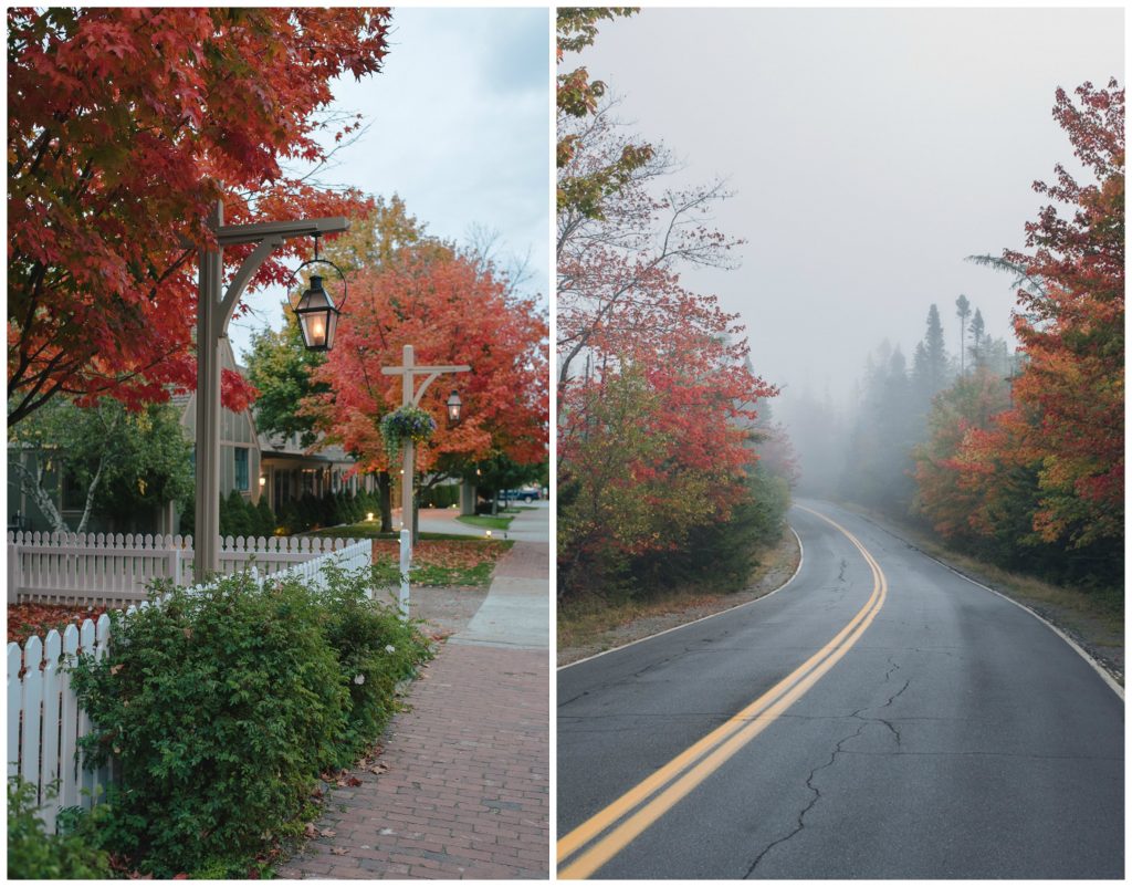 Bright red autumn collage in Bar Harbor, Maine