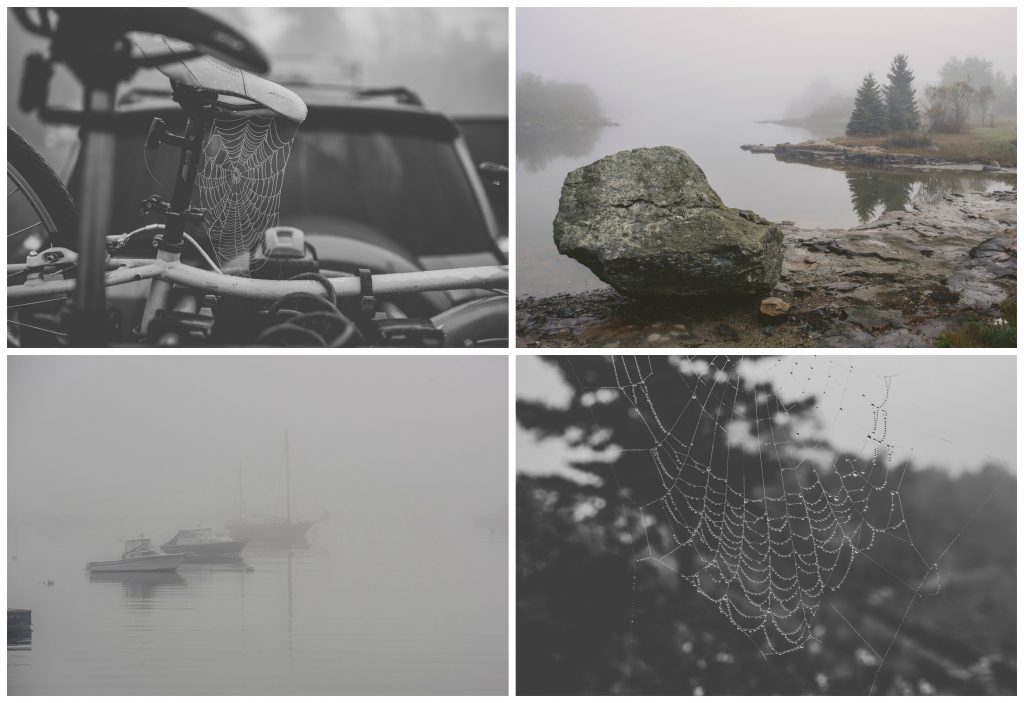 Foggy spiderweb and lake photos