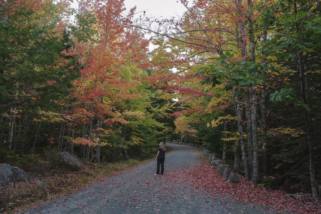 Acadia national park carriage road color change