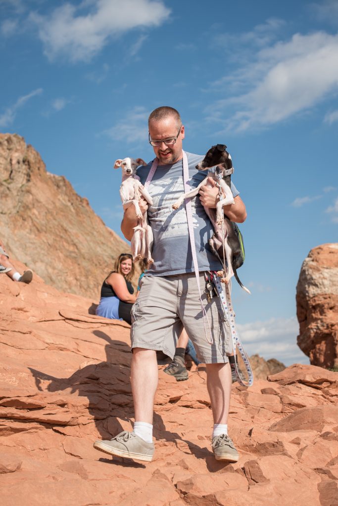 red rocks, colorado springs, park, garden of the gods, hiking italian greyhound