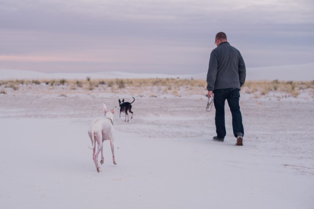 white sands national park sunrise adventure