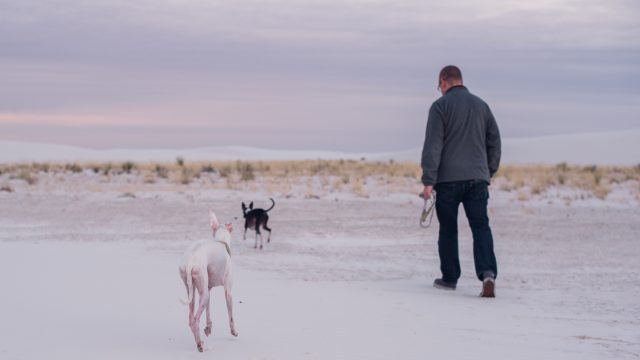 white sands national park sunrise adventure