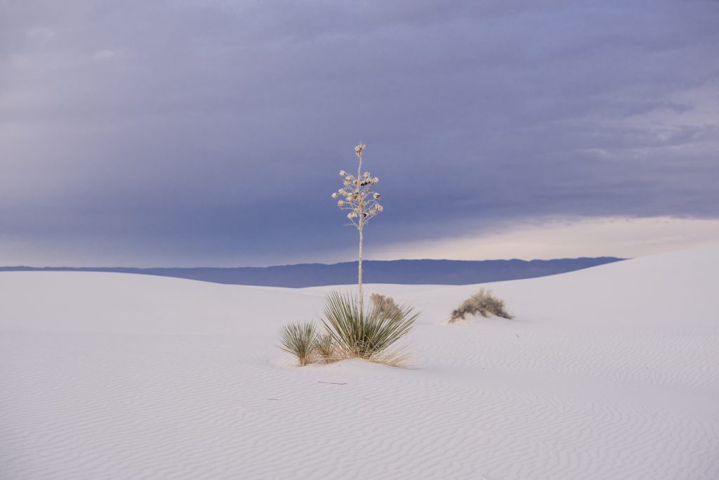 white sands national park sunrise adventure